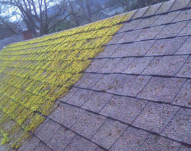 Moss Removal