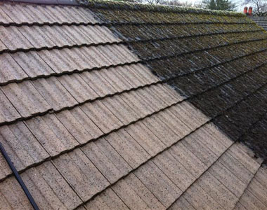 Roof Cleaning